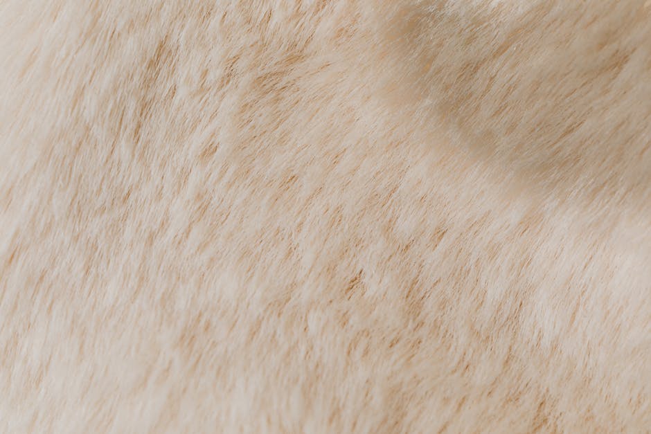 Nahaufnahme von Rohwolle mit sichtbarem Lanolin-Gehalt